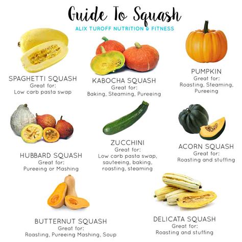 Squash Info .